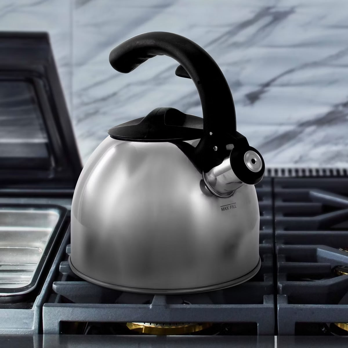Mr Coffee Steamline 2 Quart Stainless Steel Stovetop Tea Kettle