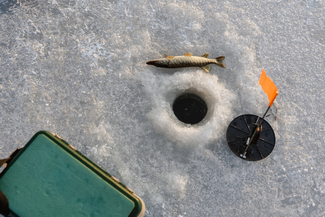 Essential Tips for a Successful Ice Fishing Experience