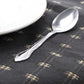 Abbie 24 Piece Tumble Polished Stainless Steel Teaspoon Set