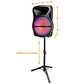 Trexonic 15" Portable Rechargeable Bluetooth PA DJ Party Speaker w Tripod Stand