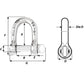 Wichard Self-Locking D Shackle - 12mm Diameter - 15/32" [01206]